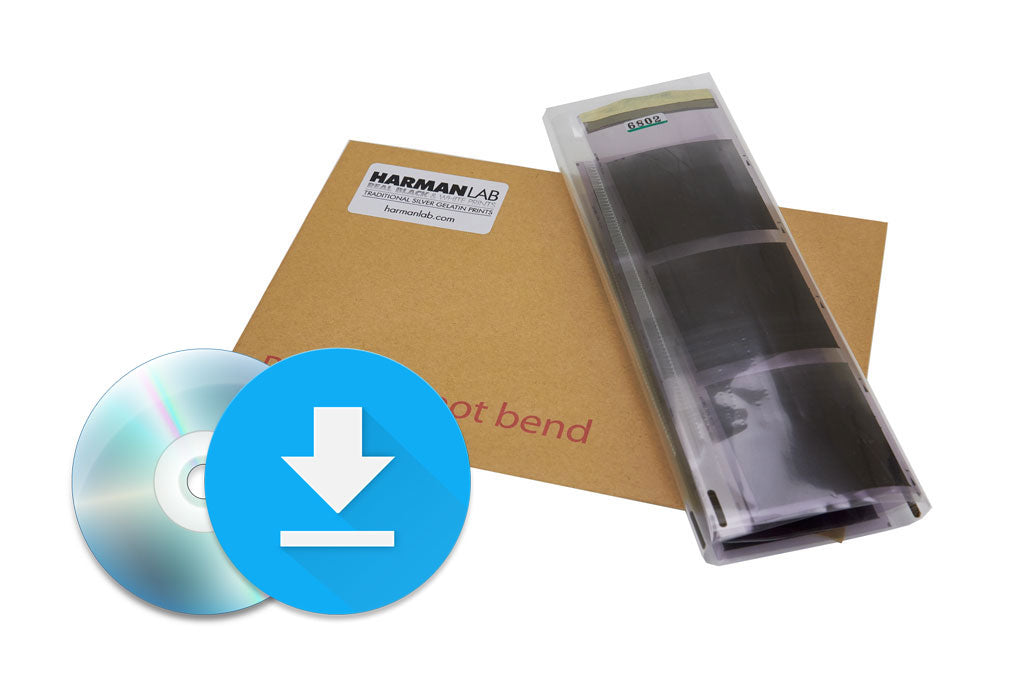 120 Roll Film Colour C41 Developing