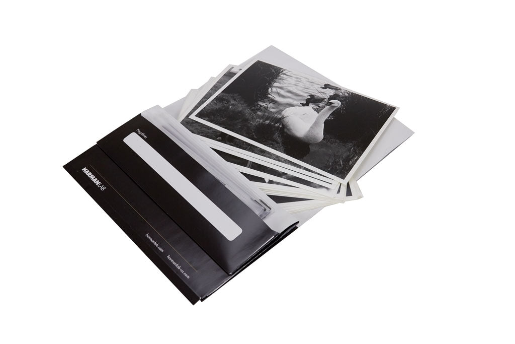 35mm B&W Film Developing & 5x7½ B&W Prints