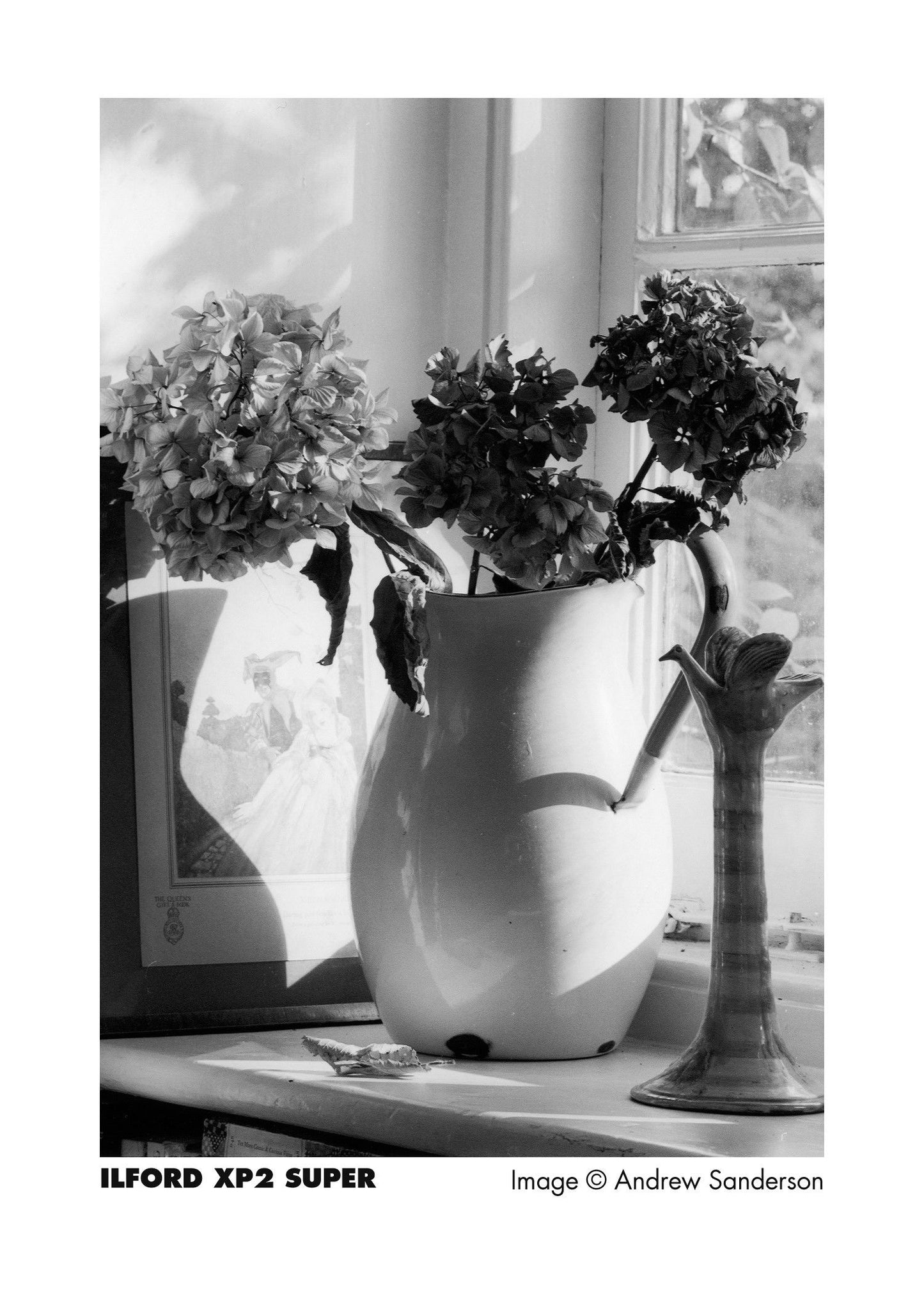 ILFORD XP2 SUPER 120 FILM