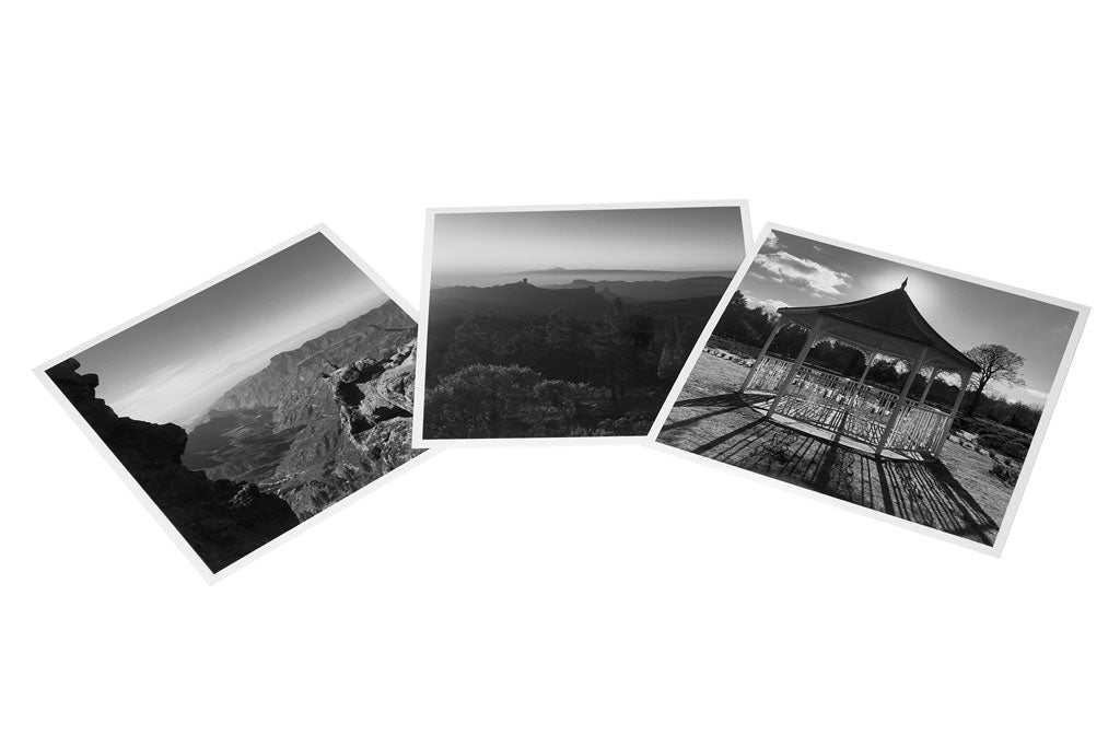 Square Format Digital Black and White Silver Prints