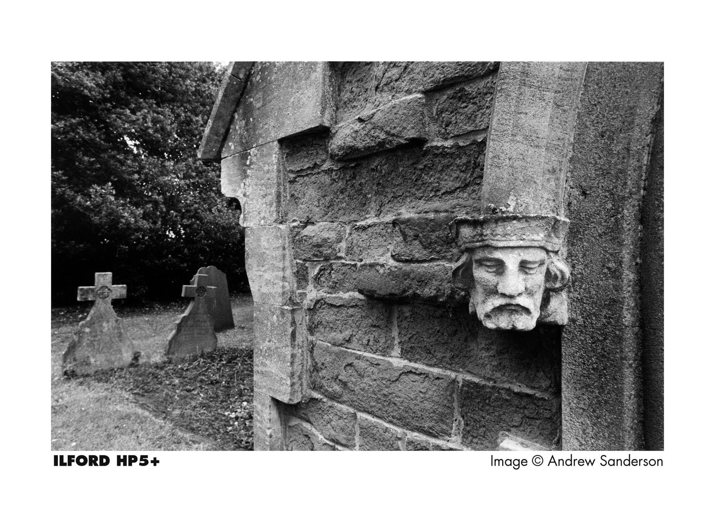 ILFORD HP5+ 120 Roll Film