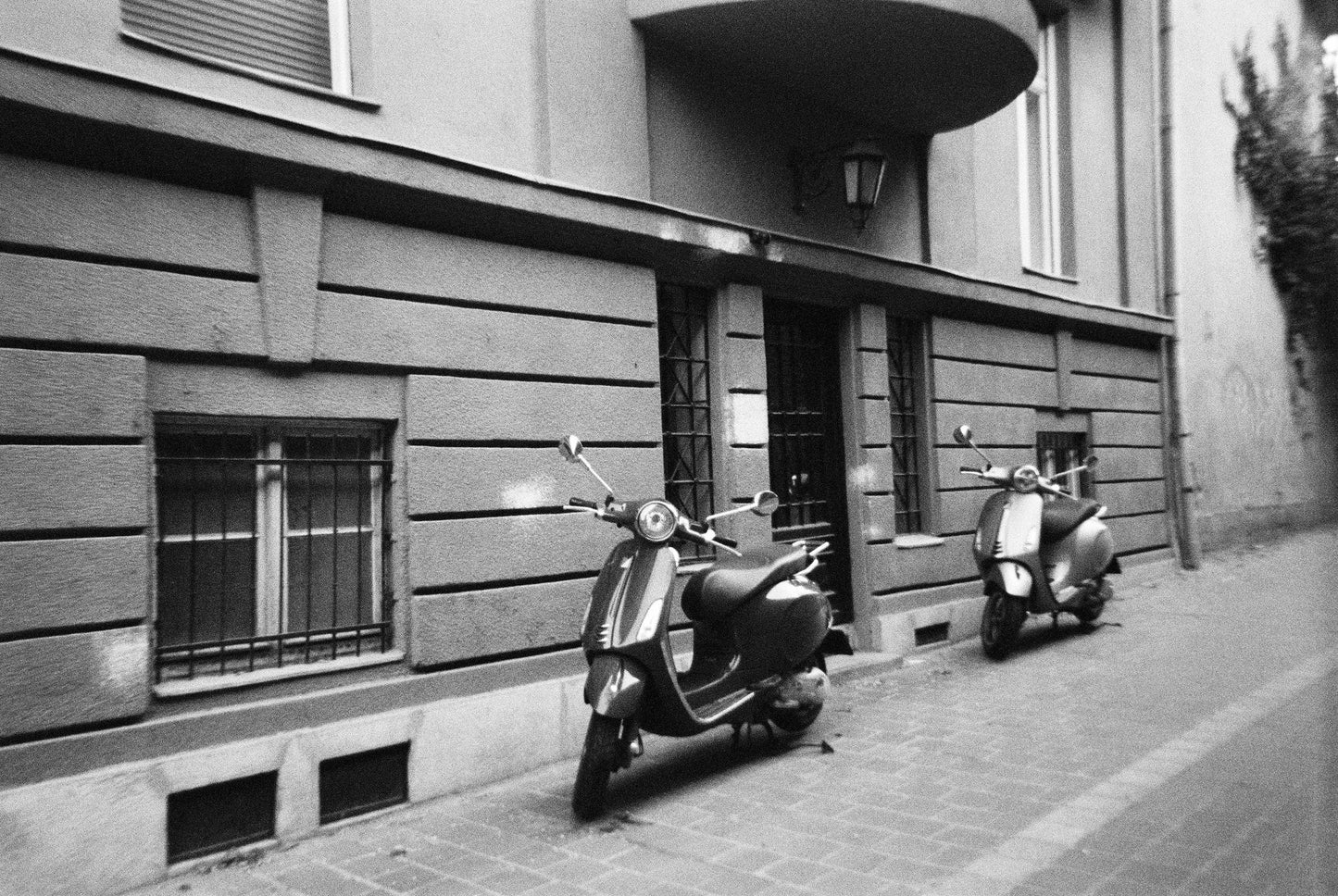 HARMAN Disposable B&W Camera with ILFORD HP5 Film