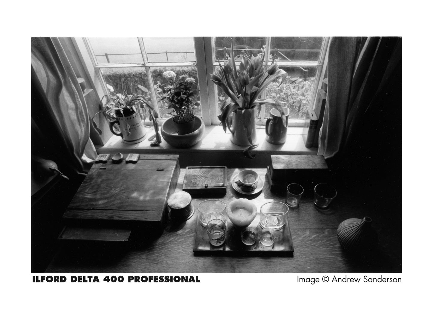 ILFORD DELTA 400 PROFESSIONAL 120 ROLL FILM