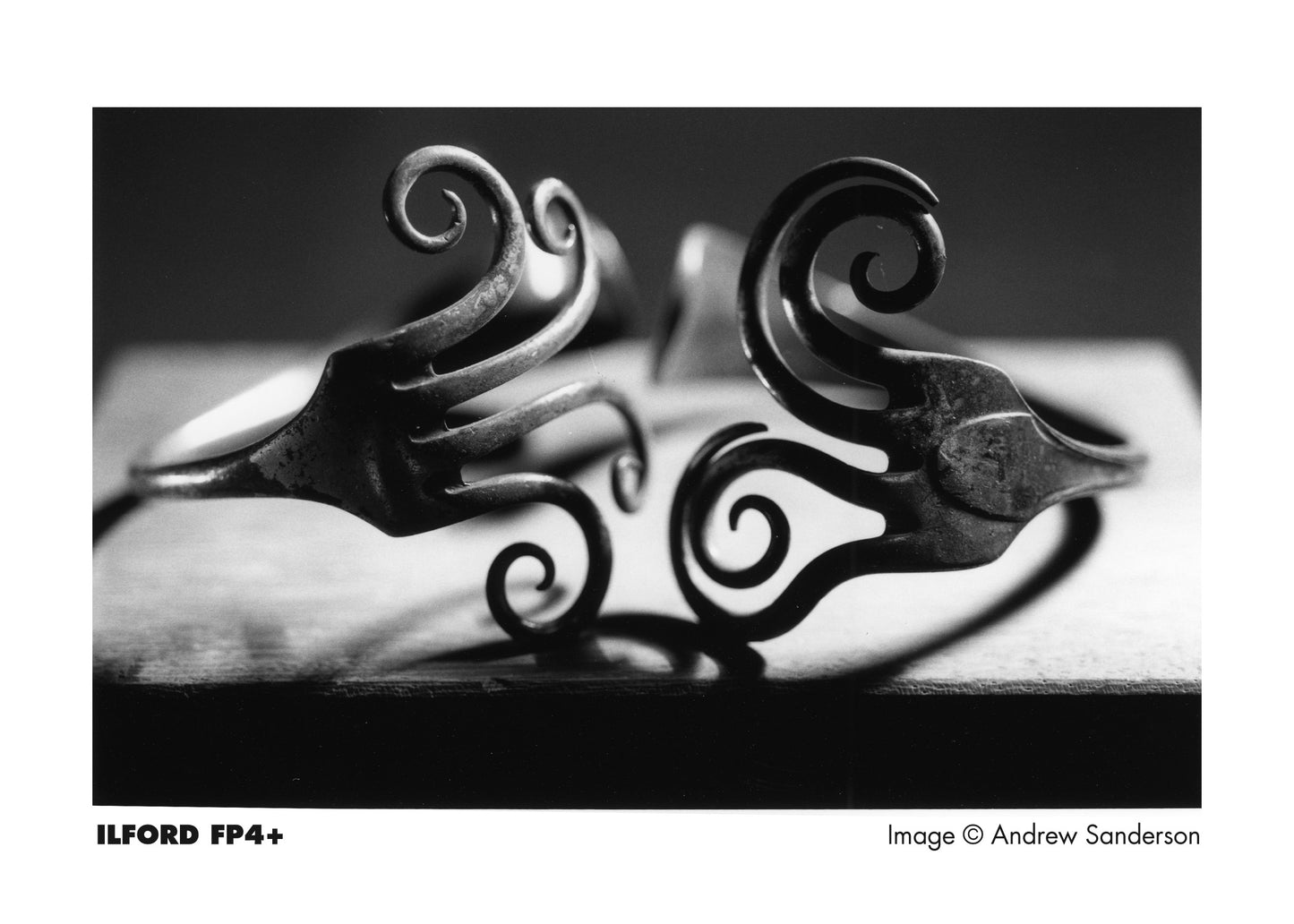 ILFORD FP4+ 135 FILM