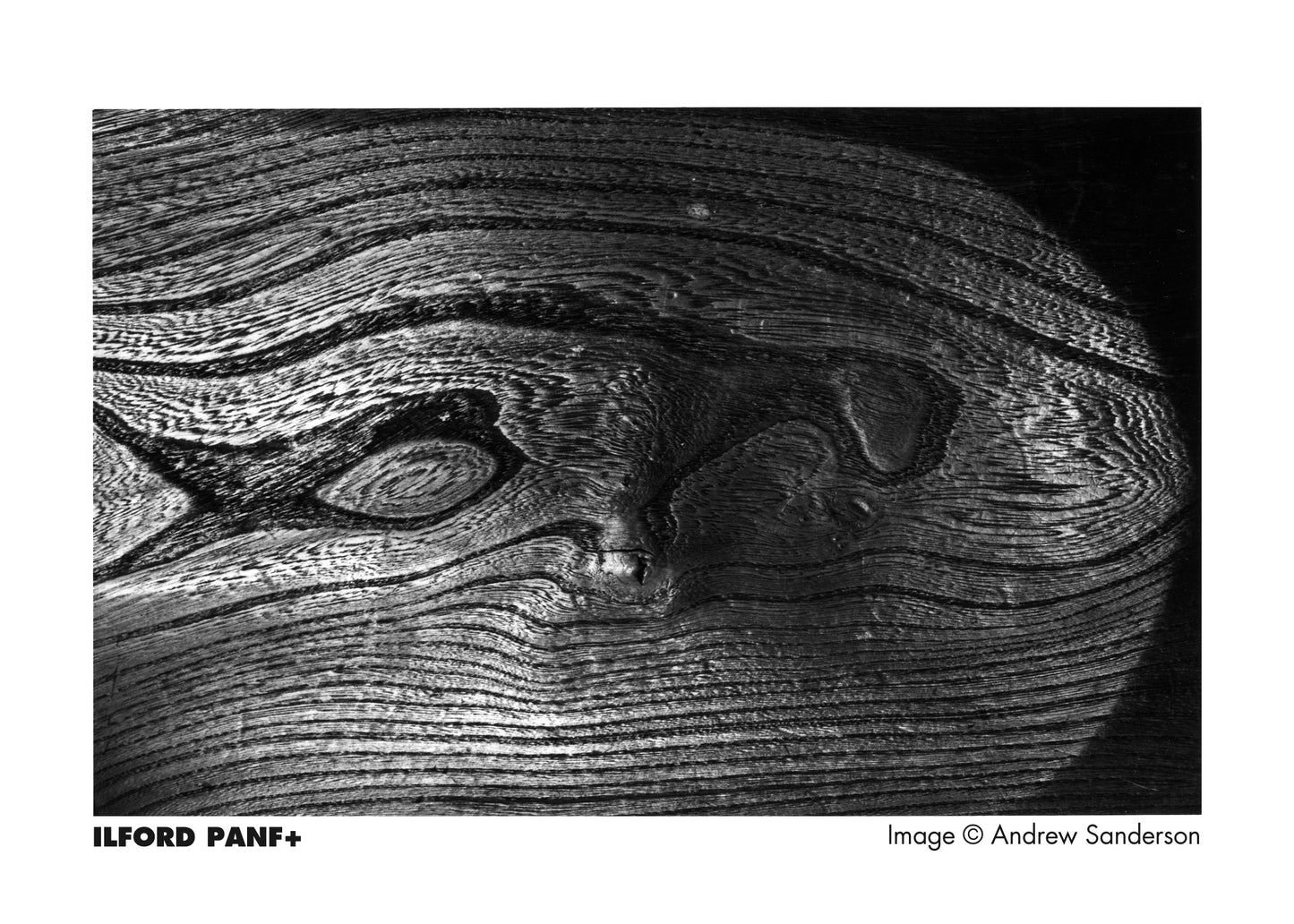ILFORD PANF+ ISO 50 120 ROLL FILM