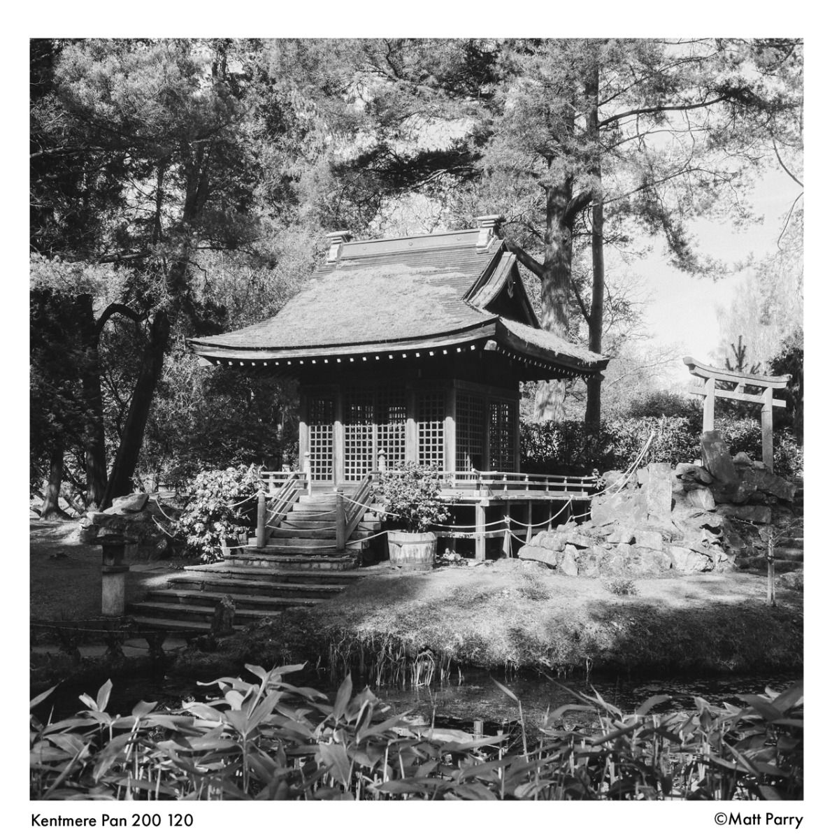 KENTMERE PAN200 120 ROLL FILM