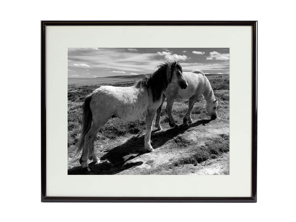 Rectangular Format Framed Prints