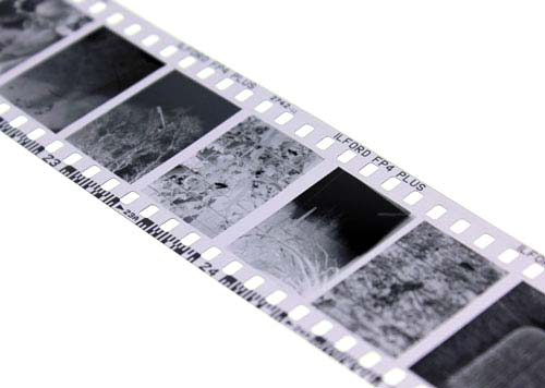 Half Frame C41 Developing 135 Film (No Prints)