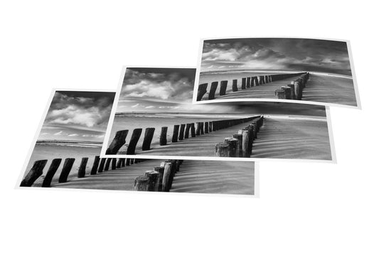 Photo Format Digital Black and White Silver Prints