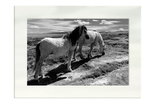 Rectangular Format Mounted and Matted B&W Prints